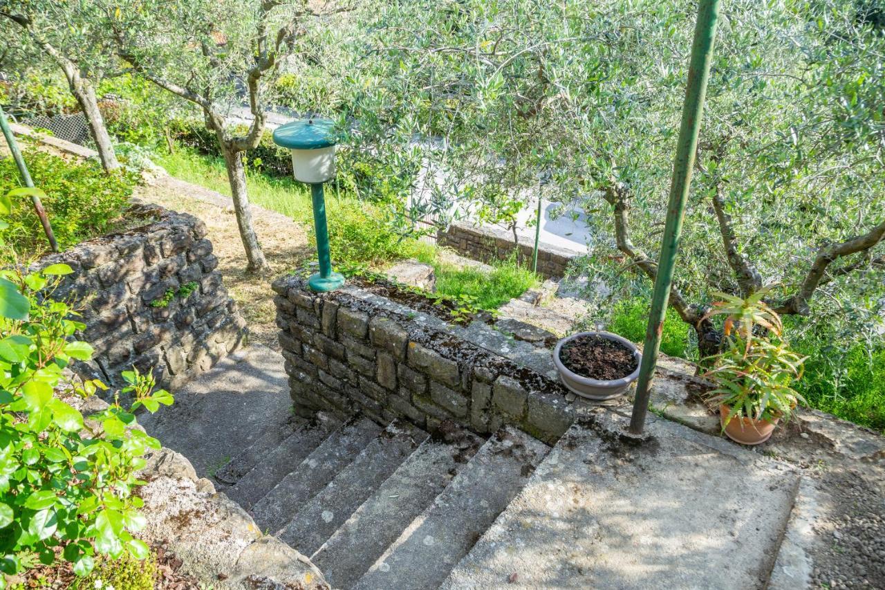 Apartment Cernetic بورتوروز المظهر الخارجي الصورة